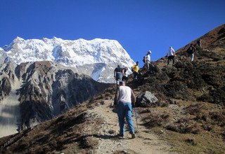 Randonnée à cheval dans la vallée du Langtang (avec ou sans enfants), 11 Jours