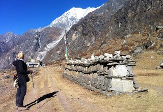 Langtang Tal Trek, 11 Tage (klassische Route)