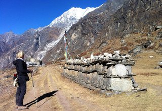 Randonnée à cheval dans la vallée du Langtang (avec ou sans enfants), 11 Jours