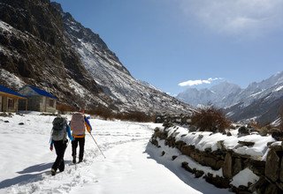 Langtang Tal Trek, 11 Tage (klassische Route)