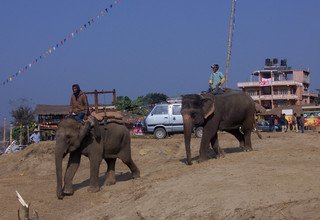 Kulturelle Tour durch den Chitwan, nach Lumbini und Pokhara, 14 Tage , kein Trekking
