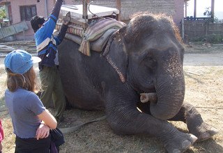 Kulturelle Tour durch den Chitwan, nach Lumbini und Pokhara, 14 Tage , kein Trekking