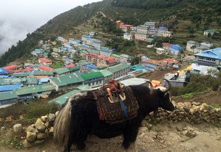 Trek du lodge de luxe de l'Everest, 10 Jours