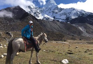 Randonnée à cheval au camp de base Everest, 15 Jours