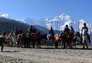 Randonnée à cheval vers l'Upper Mustang, 15 Jours