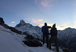 Trekking au camp de base du Mardi Himal - 8 Jours