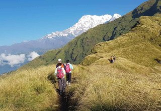 Machhapuchhre Modell Trekking, 8 Tage