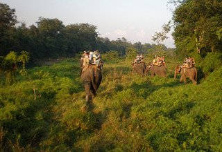 Visite de Chitwan - 2 nuits 3 jours