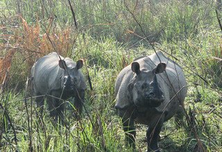 Forfait visite du parc national de Chitwan, 3 nuits 4 jours