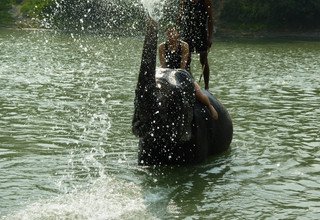 Chitwan Nationalpark Tourpaket, 3 Nächte 4 Tage