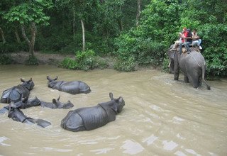 White Water Rafting and Chitwan National Park Tour, 3 Nights 4 Days