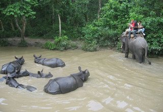 Faire du rafting via le parc national de Chitwan pour 4 jours 3 nuits