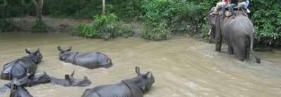 Reservez maintenant Faire du rafting via le parc national de Chitwan pour 4 jours 3 nuits