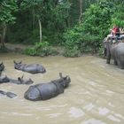  Wild Wasser Rafting und Chitwan Nationalpark Tour für 4 Tage 3 Nächte