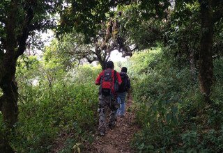 Chepang Hill Trek with Chitwan Tour, 12 Days