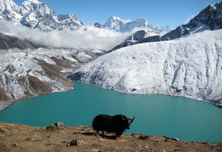 Renjo-La Pass Trekking (au nord de Namche Bazaar), 14 Jours