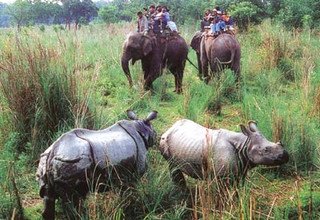 Tour dans le parc national de Bardia | 3 nuits 4 jours