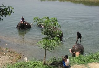 Tour dans le parc national de Bardia | 3 nuits 4 jours