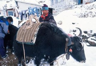 Gokyo See und Everest Base Camp Trekking, 18 Tage