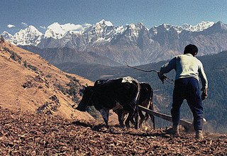 Lower Solukhumbu Kulturpfad Trek (Sherpaland) für Familien, 9 Tage